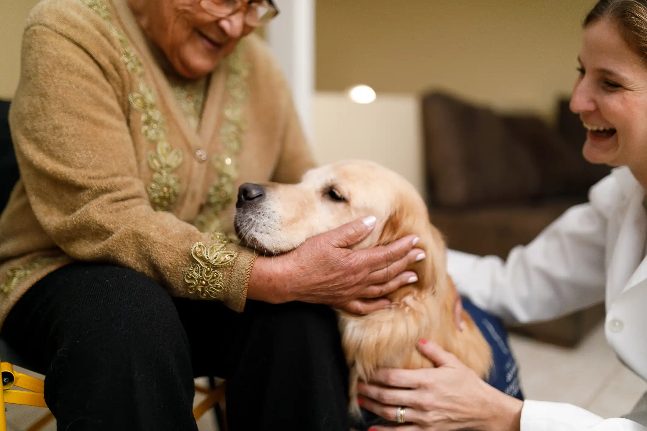 Improving Pet Hospice Care The Role of Exploring Afterlife Beliefs in Comforting Pet Owners